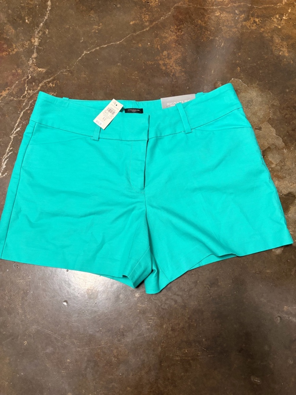 Ann Taylor Turquoise Women's Shorts